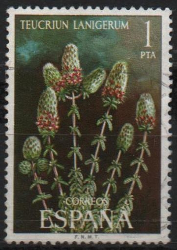 Flora 