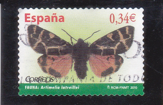 MARIPOSA (39)