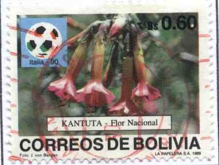 Flora Boliviana