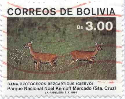 Parque Nacional Noel Kempff Mercado