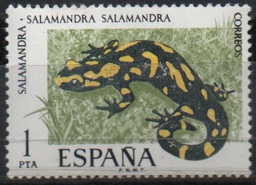 Salamandra