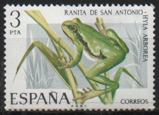 Ranita d´San Antonio