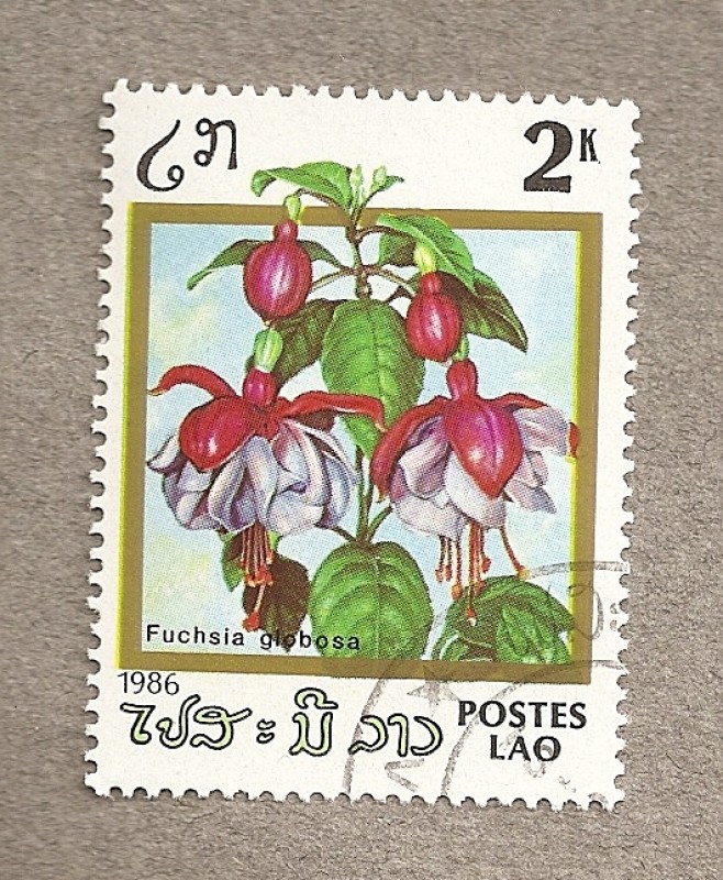 Flores de Laos