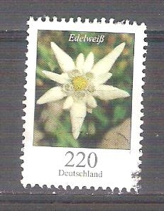 edelweis Y2530