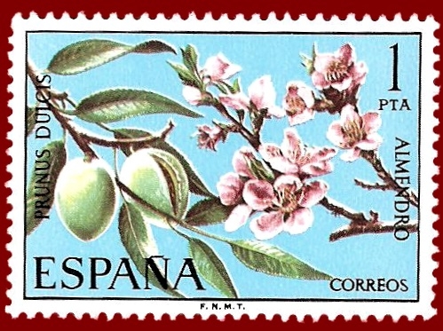 Edifil 2254 Almendro 1 NUEVO