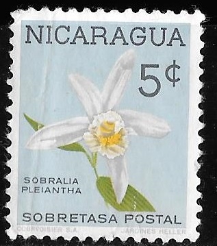 Nicaragua-cambio