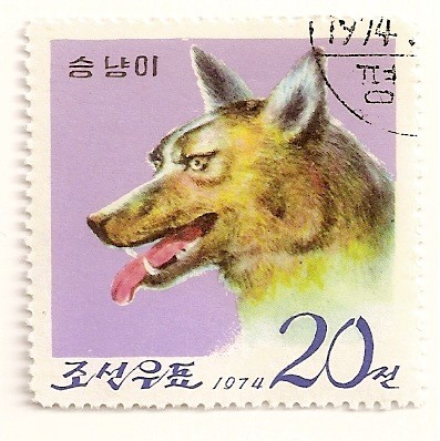 15 Aniv. del zoo de Pyongyang. Lobo.