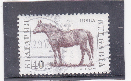 CABALLO