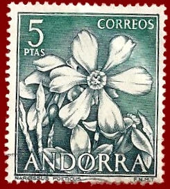 ANDORRA Edifil 70 Narcissus poeticus 5
