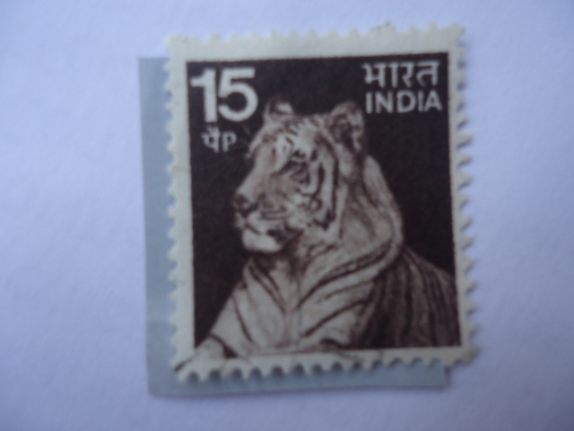 Tigre (panthera tigris)- 15 paisa,In.