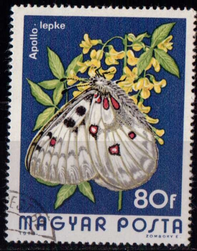 2396 - Mariposa parnassius apollo