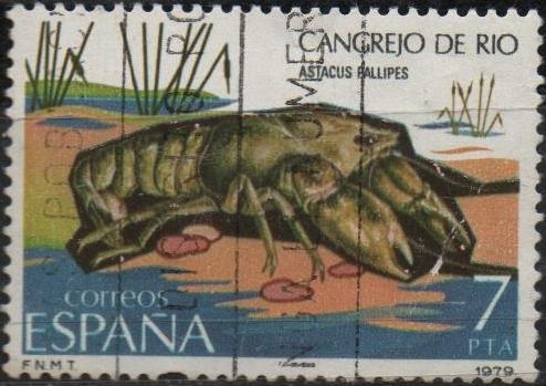 Fauna Invertebrados 
