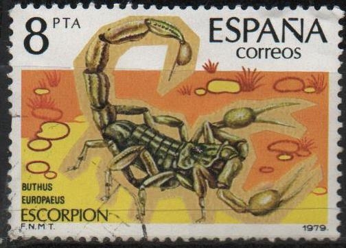Fauna Invertebrados 