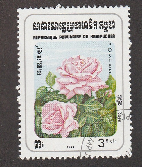 Rosa