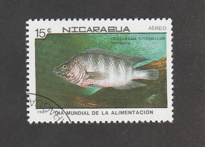 Pez Mojarra