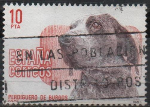 Perros d´raza Españoles 