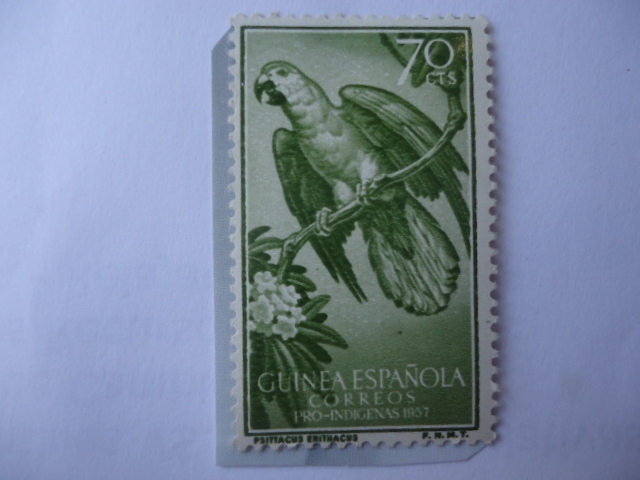 Ed:ES-GN 367 - Loro Gris (Psittacus erithacus) - Guinea Español.