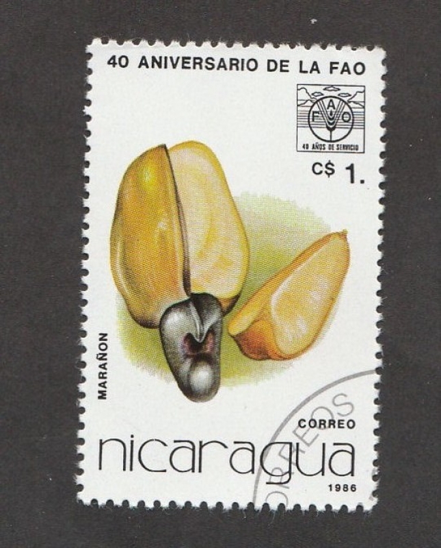 40 Aniv de la FAO.Marañón