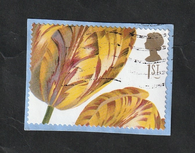 1932 - Iris latifolia