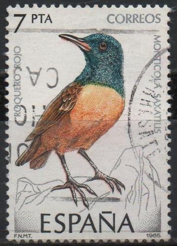 Pajaros 