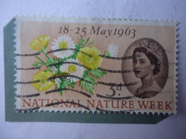 8-25 Mayo 1963 - National Nature Weer- Semana Nacional de la Naturaleza- Margarita.Abeja.