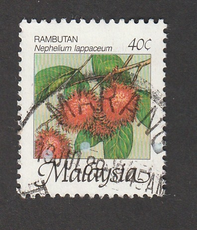 Planta Nephelium lappaceum
