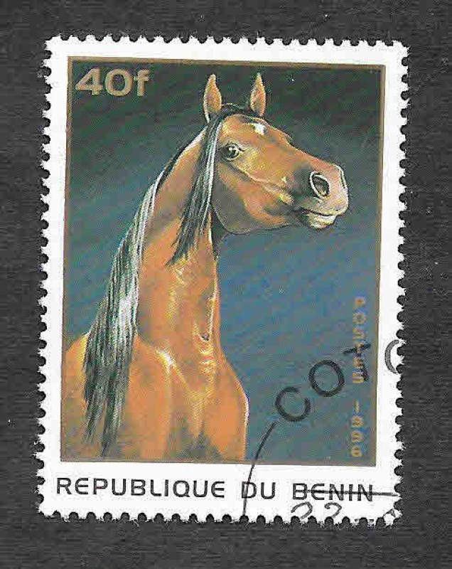 865 - Caballo