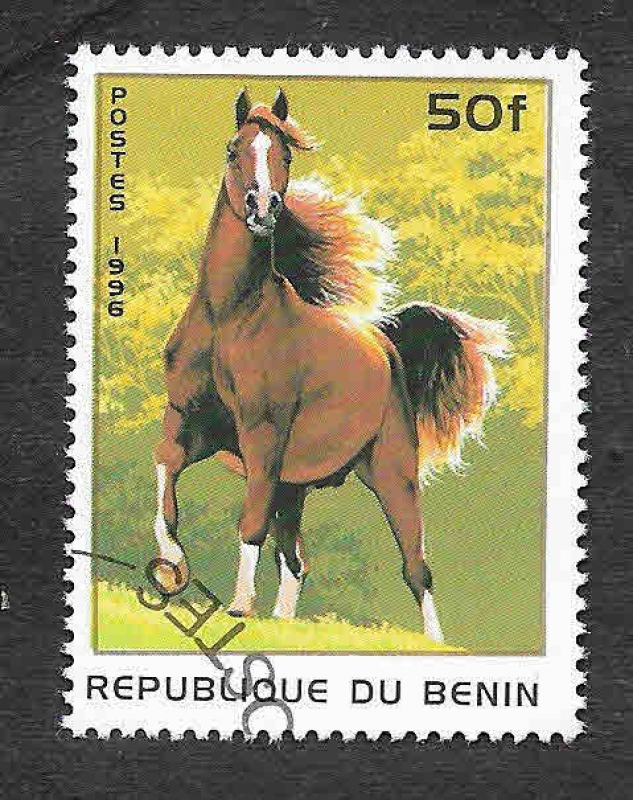 866 - Caballo