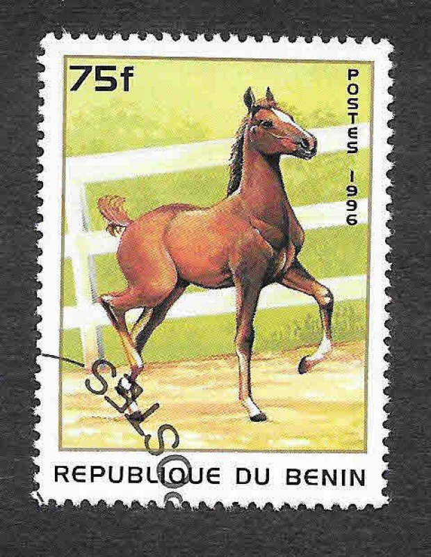 867 - Caballo