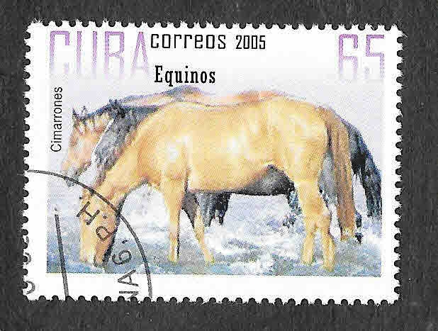 4522 - Caballo