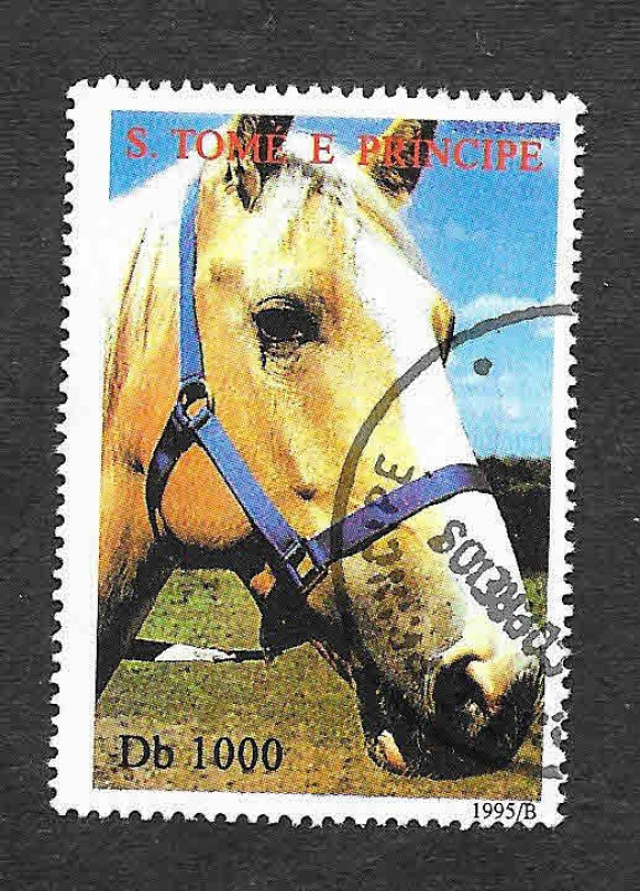 1217 - Caballo