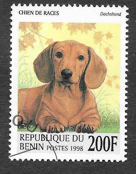 1089 - Perro
