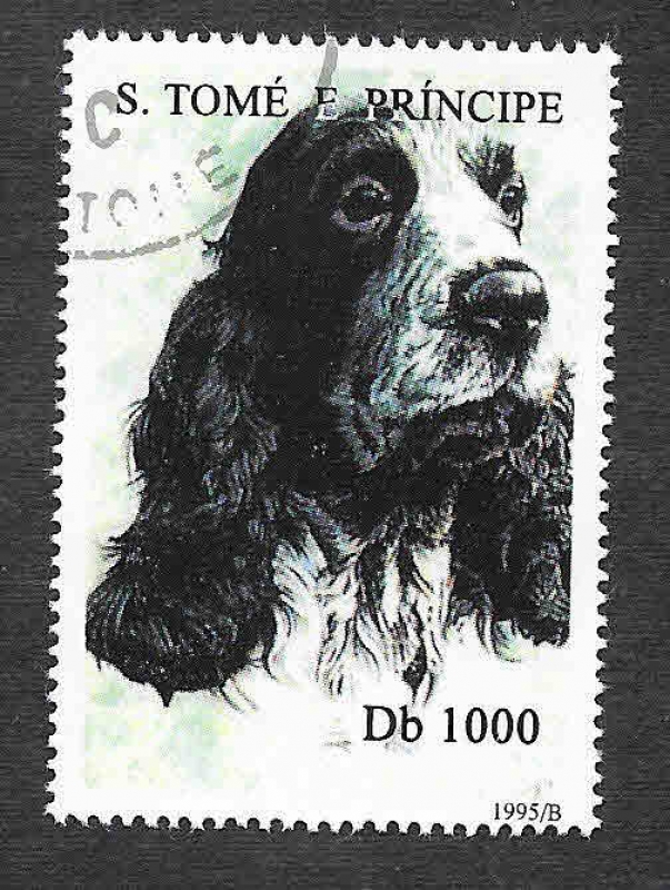 1243 - Perro