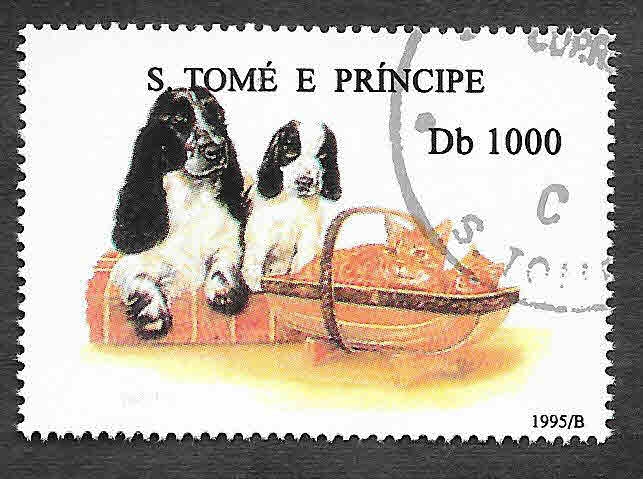 1242 - Perro y Gato