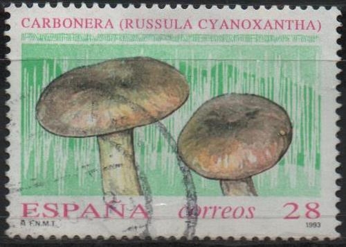 Micologia 