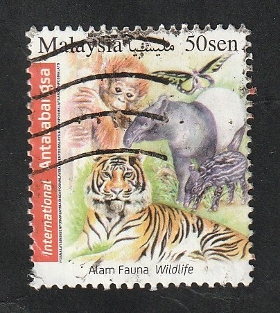 Fauna animal