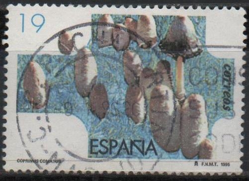 Micilogia 