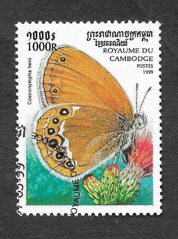 1828 - Mariposas