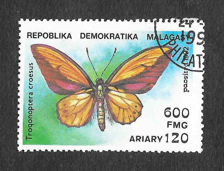 1084 - Mariposa