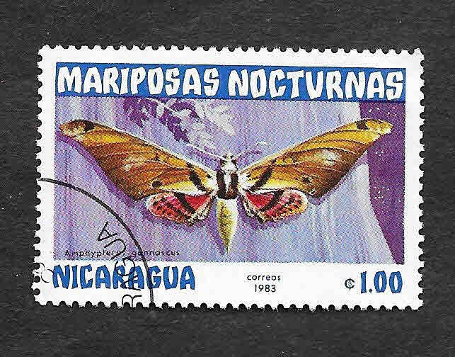 1233 - Mariposas Nocturnas