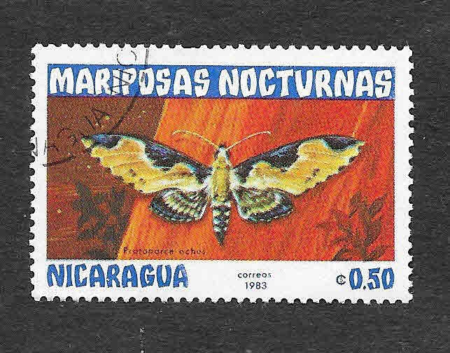 1231 - Mariposas Nocturnas
