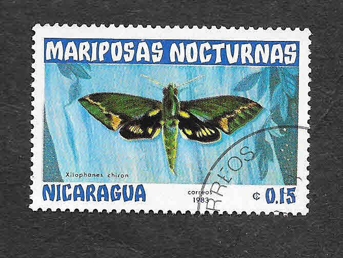 1230 - Mariposas Nocturnas