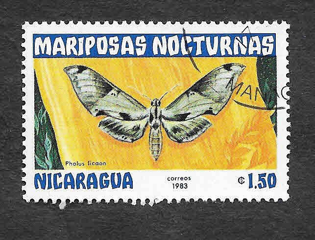 1234 - Mariposas Nocturnas