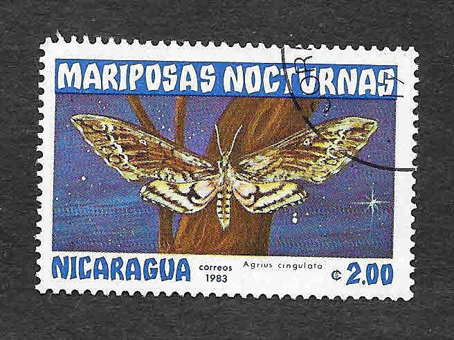 1235 - Mariposas Nocturnas
