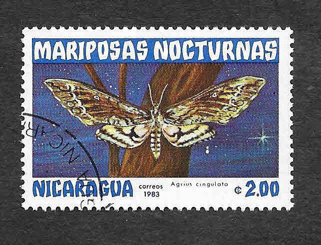 1235 - Mariposas Nocturnas