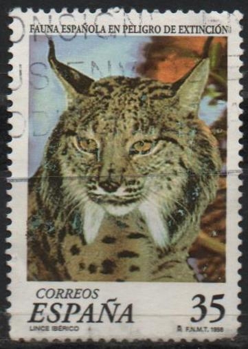 Fauna en peligro d´Extincion 