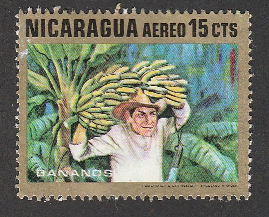 Cosecha platanos