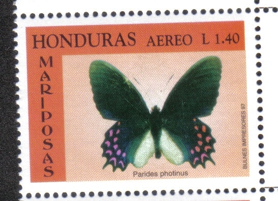 Corazón de ganado manchado de rosa (Parides photinus)