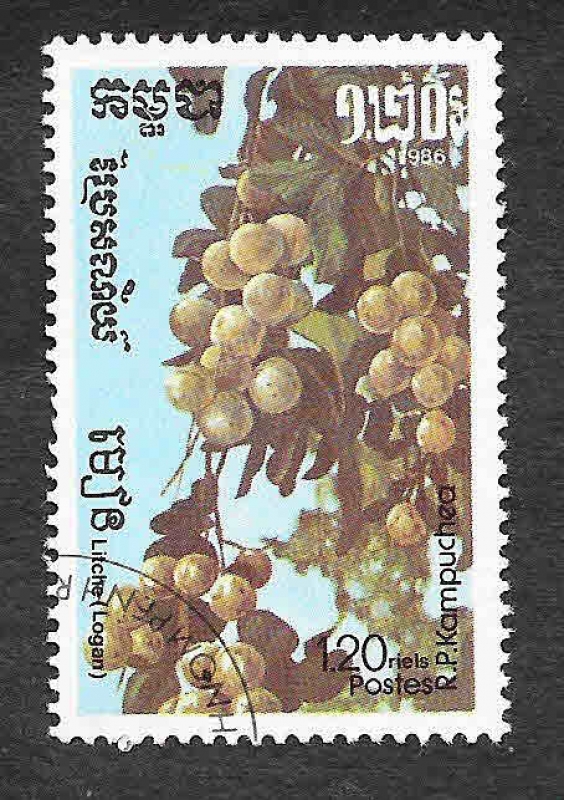 732 - Lichi 