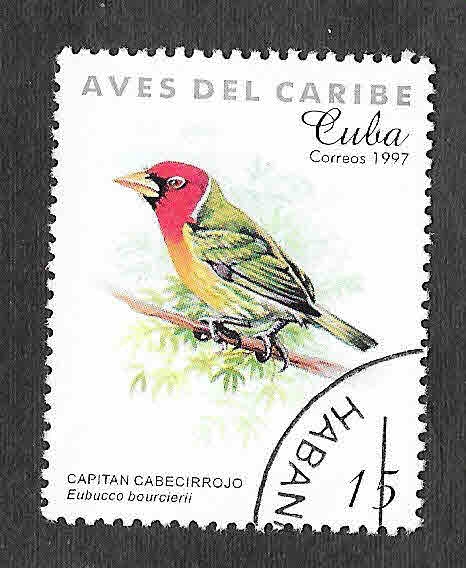 3849 - Aves del Caribe